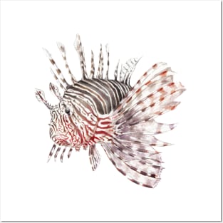 Lionfish Posters and Art